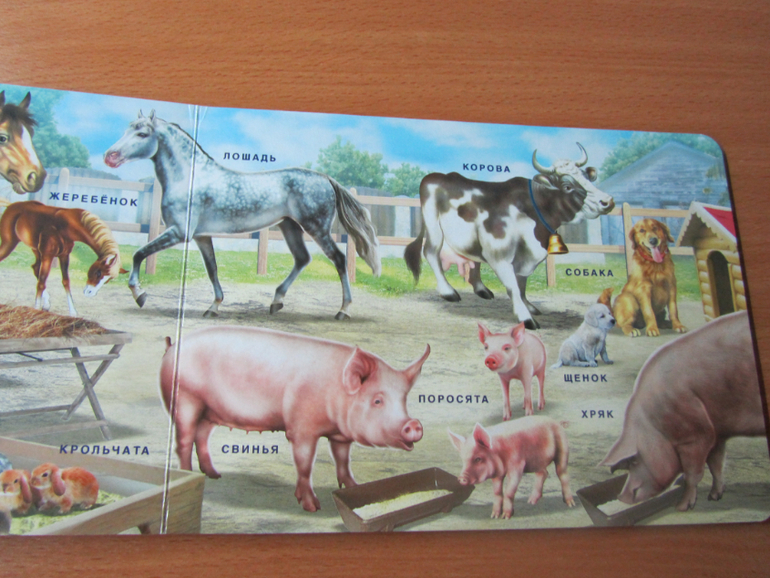 Бюджетные картонки для малышей