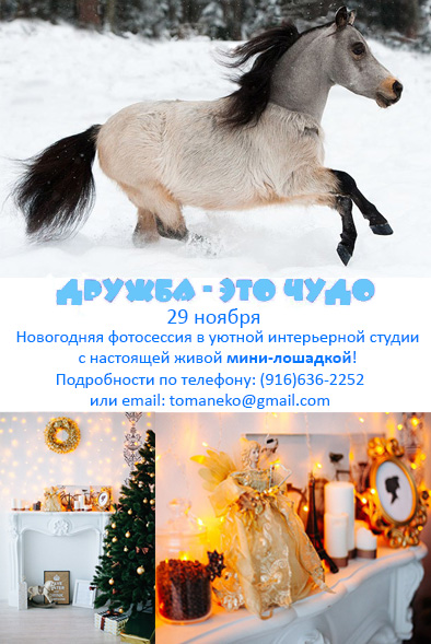 Дружба - это чудо!