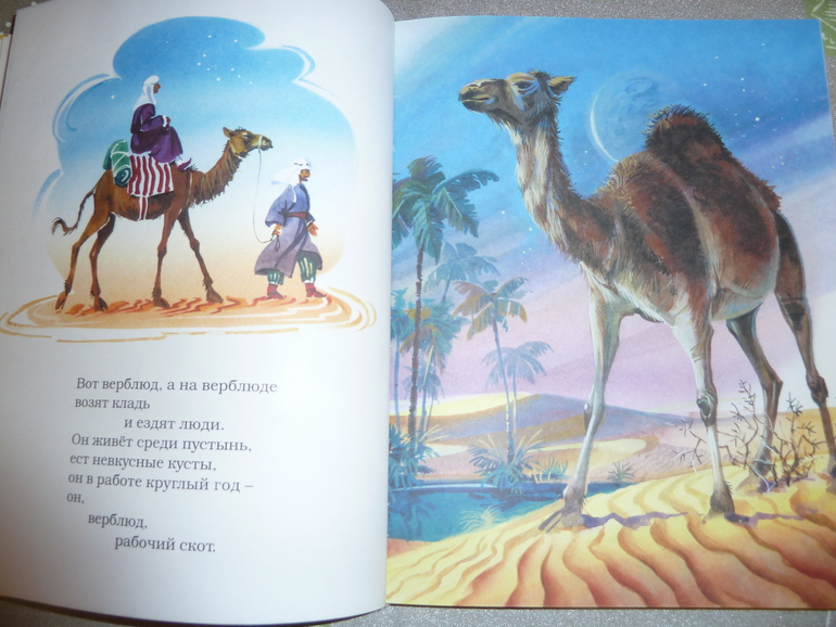 Ах, эти скидки, скидки, скидки...)))