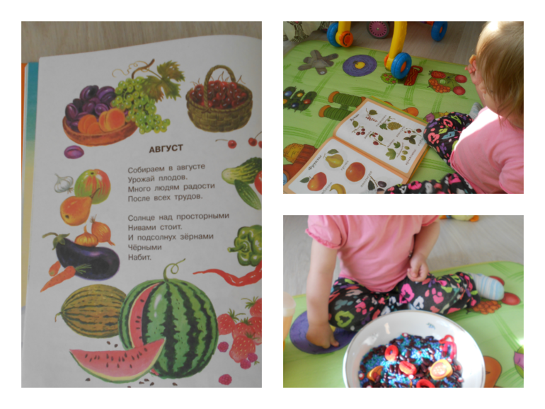 ТЗ Красный цвет. Ягоды