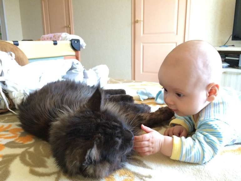 Нам 6 месяцев!!!