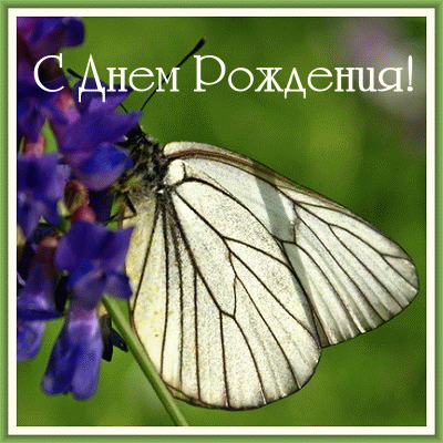 С Днем Рождения Ксюша)