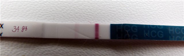 мои тестики ровно год назад