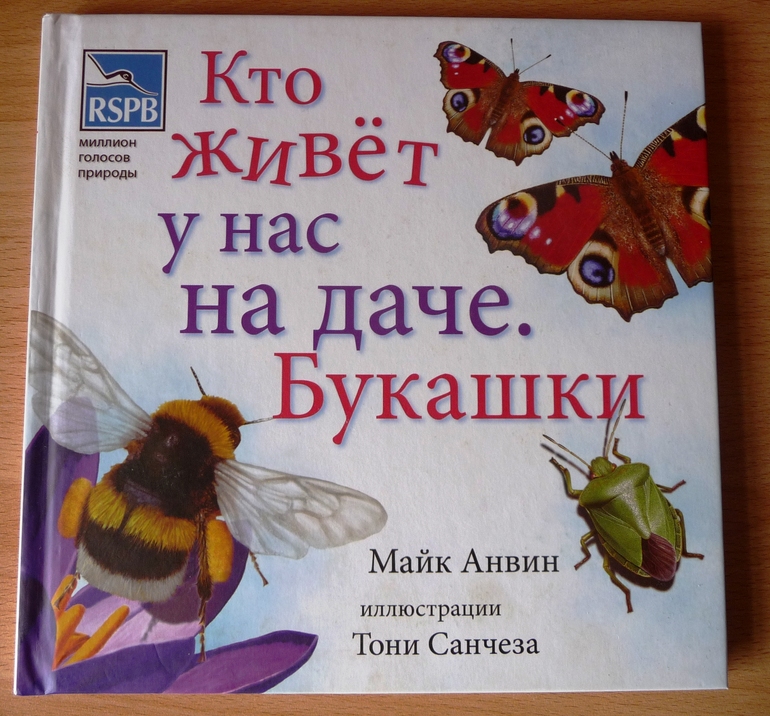 Находилка. Насекомые.