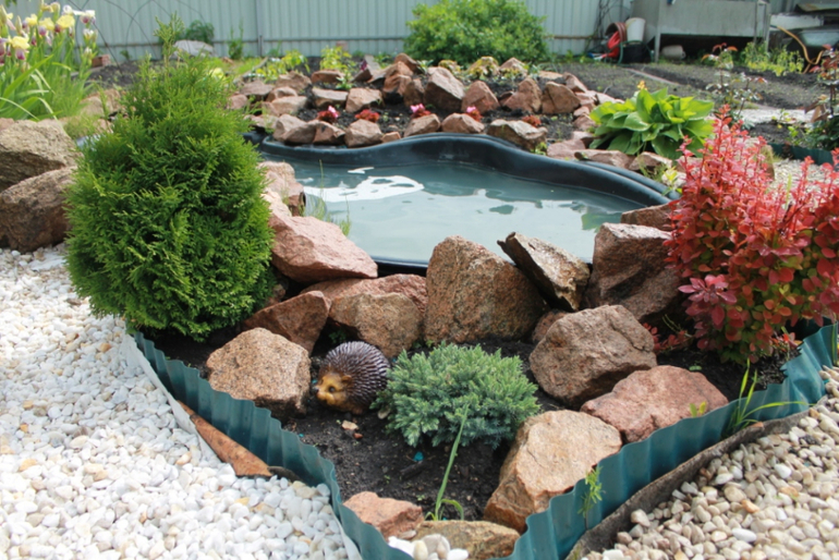 Немного фоток с нашей дачки.