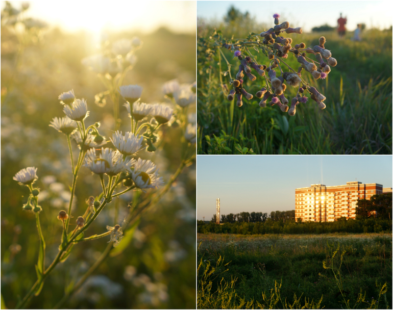 Что у нас за домом?)