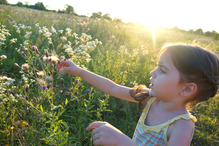 Что у нас за домом?)