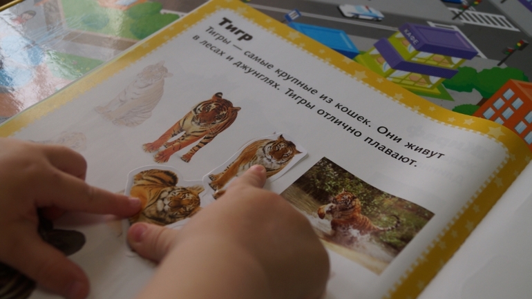 занятие по книжкам