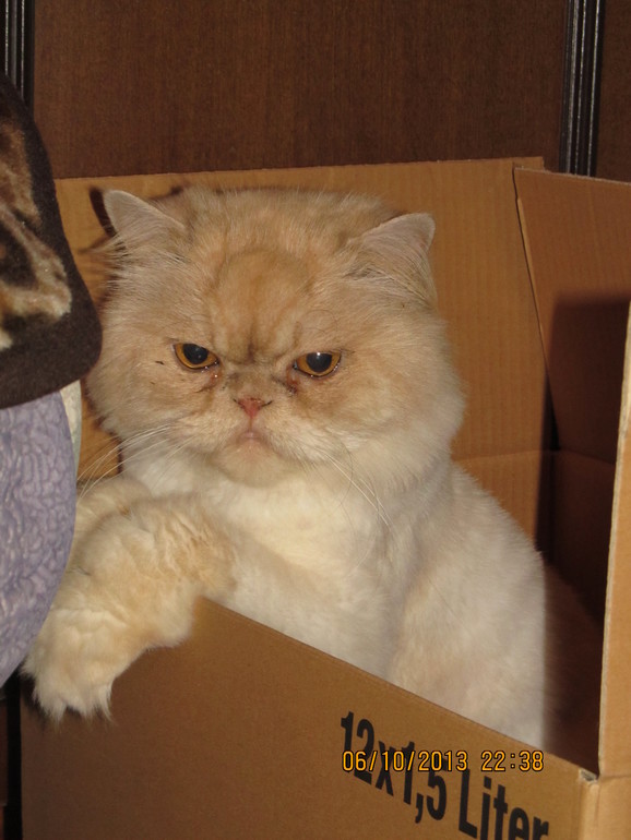 Наш первый масяня УМКА