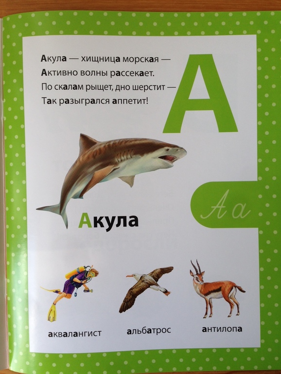 Азбука в стихах. Филиппова Анастасия, изд. Сибиллиана
